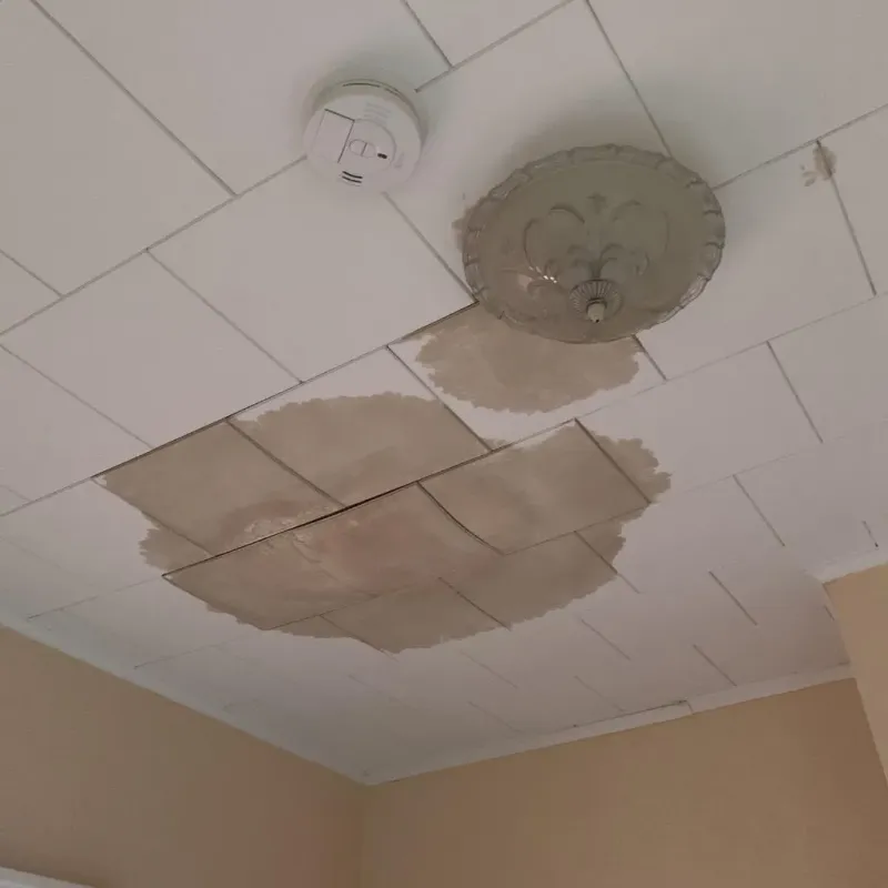 Ceiling Water Damage Repair in Holmes County, MS