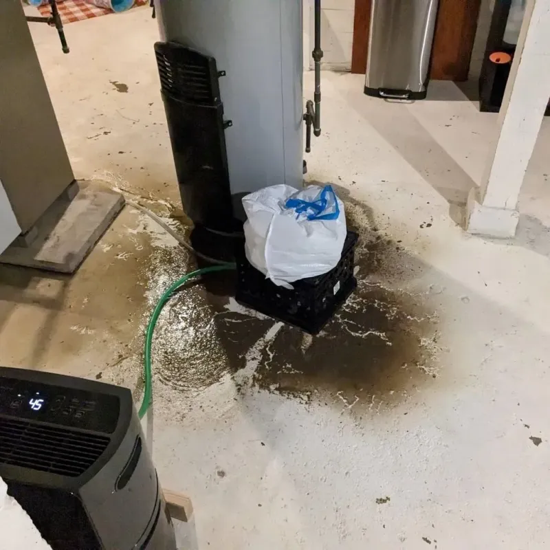 Sewage Backup Cleanup Service in Holmes County, MS